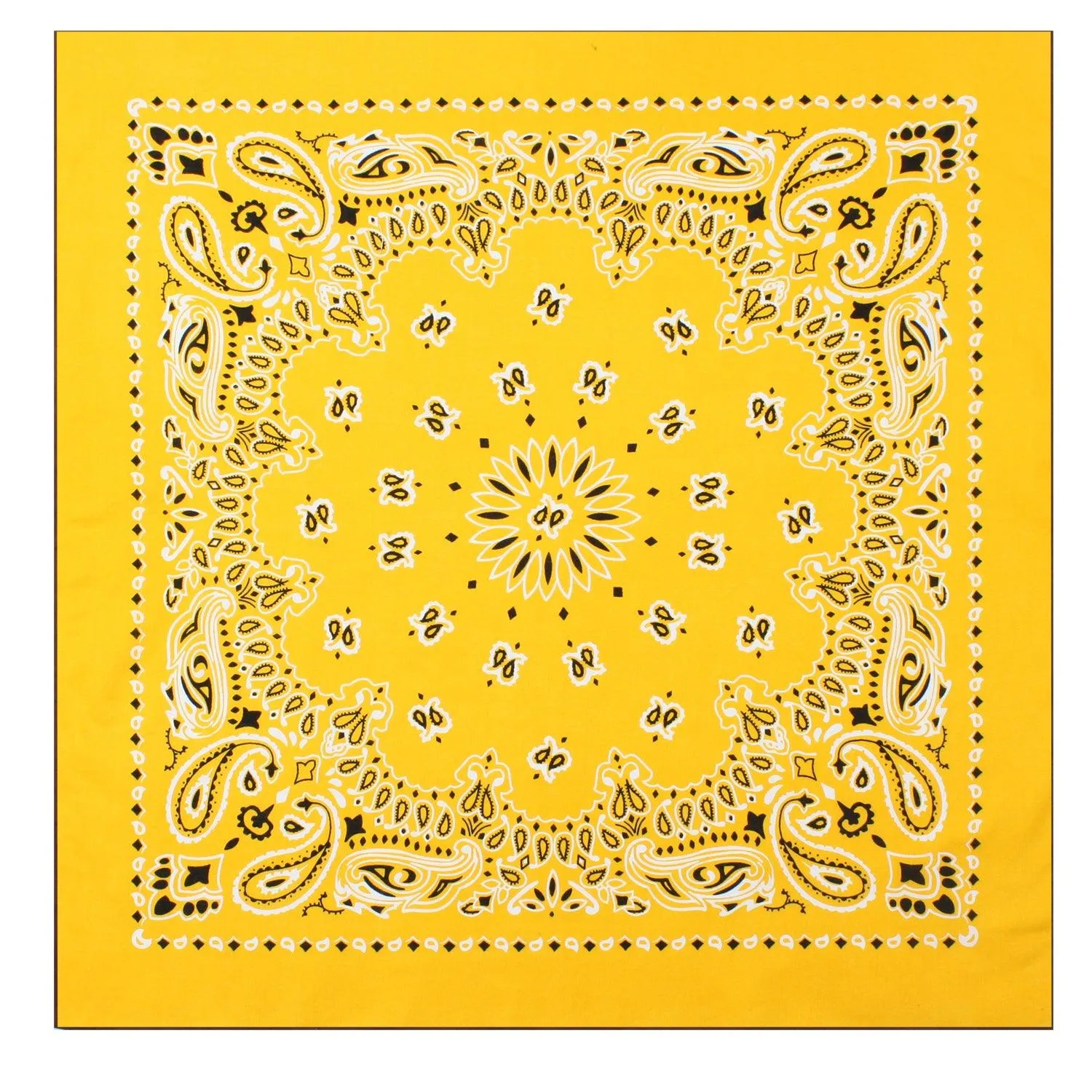 Trainmen Paisley Bandana - Image 2